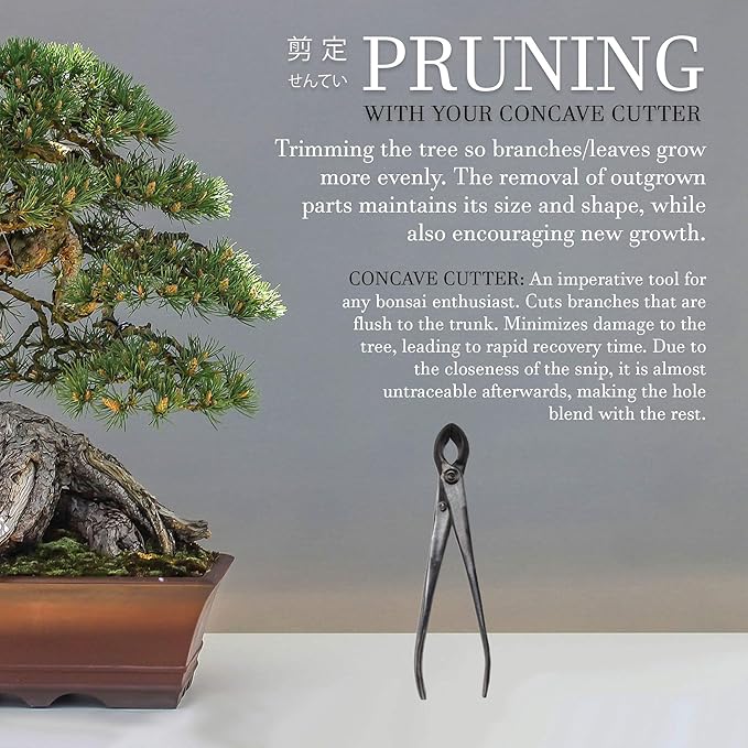 BambooMN Bonsai 8" Concave Cutter Tool - 3 Pieces