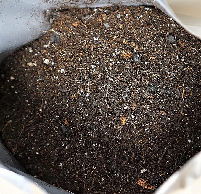 Liqui-Dirt Natural Potting Soil Bio-Organic Mix for Indoor & Outdoor Plants - Ideal for Monstera, Succulents, Orchids, Cactus, and More