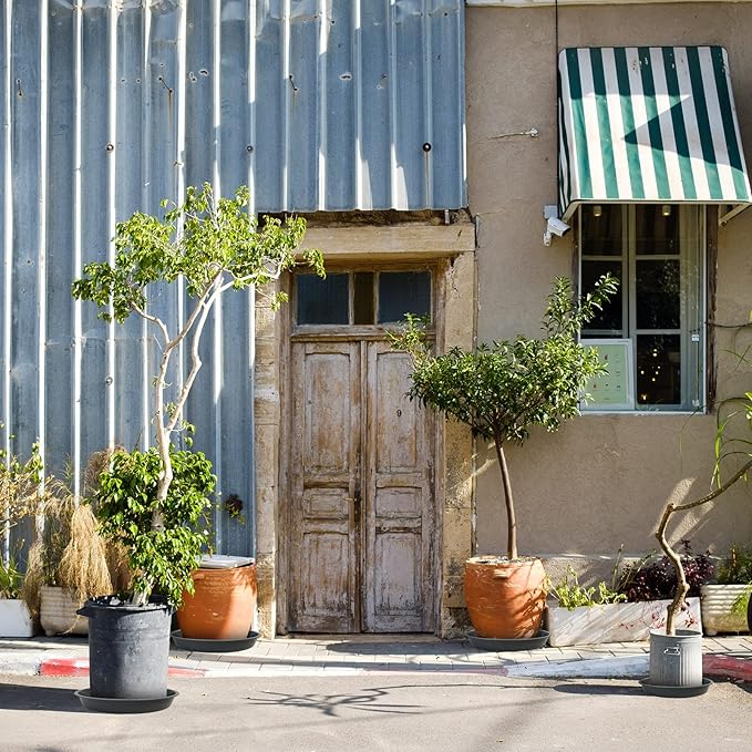 6 Pack Plant Saucer 12 14 16 18 20 22 Inch Plastic Plant Tray, Sturdy and Durable Flower Pot Container Accessories Plant Pot Saucers for Indoor and Outdoor (22 Inch, Gray)