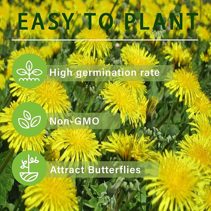 8000+ Dandelion Seeds for Planting Wild Flower Garden Home Seeds