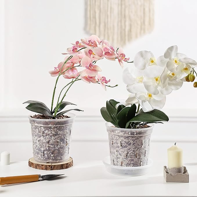 TRUEDAYS 6 Pack Orchid Pot with Saucers, 6 Inch Clear Orchid Pots with Holes, Plastic Planter with Trays, Breathable Slotted Orchids Planters for Indoor Outdoor Plants