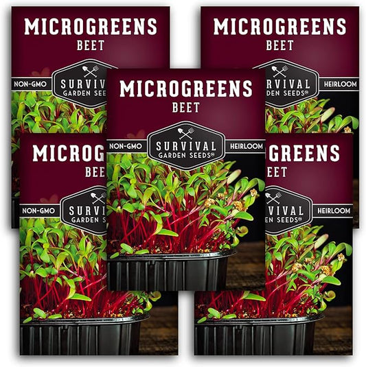 5 Packs Beet Microgreens Seeds for Planting and Growing - Plant Green Leafy Micro Vegetable Plants Indoors - Grow Your Own Mini Windowsill Garden - Non-GMO Heirloom - Survival Garden Seeds