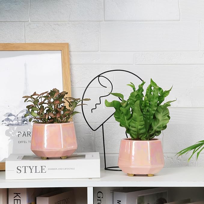 4 Inch Succulent Planter Ceramic Pot for Indoor Plants - Flower Pots with Drainage Hole - Set of 4