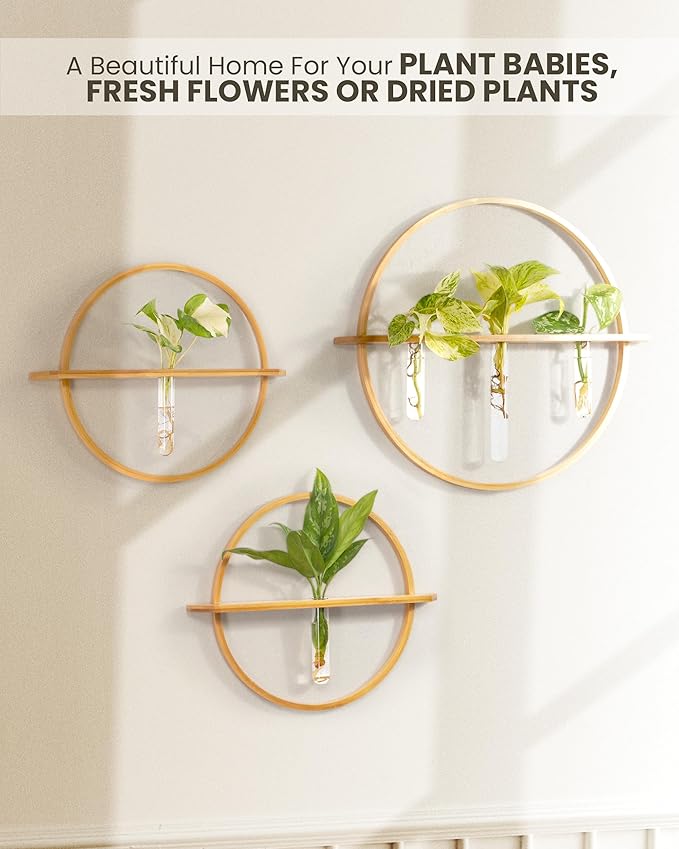 Propagation Stations - Set of 3 Bamboo Wall Planters for Indoor Plants | Propagation Wall Hanging with 5 Glass Plant Propagation Tubes | Plant Propagation Station Wall Vase