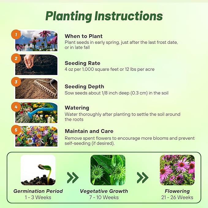 Outsidepride 5 lb. Perennial Echinacea Purple Coneflower Wild Flowers Seeds for Planting