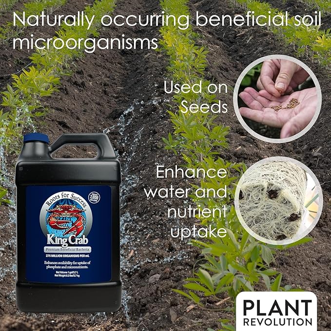 King Crab Instant Compost Tea for Plants, Ultra Concentrated OMRI Organic Bacteria, 275 Million Organisms per ml, Roses, Tomatoes, Houseplants, Soil Conditioner, Soil Activator, Soil Microbes