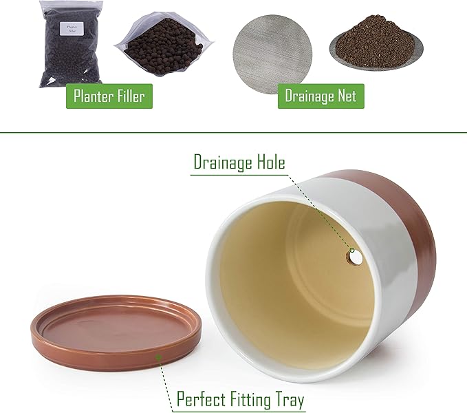 D'vine Dev Set of 2 Plants Pot, 8 Inch Ceramic Planter Pot for Plants with Drainage Hole and Saucer, White/Pottery Red Terracotta, 94-V-D-5