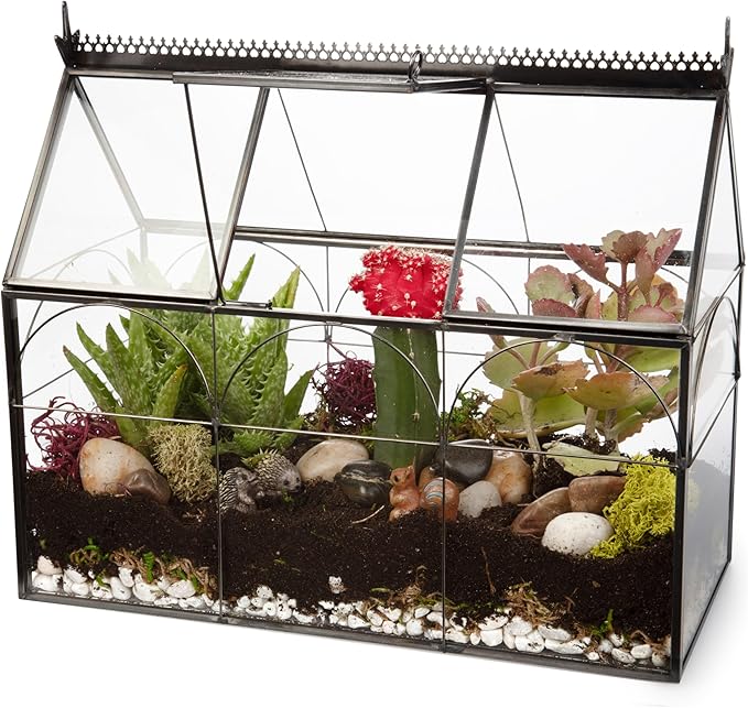 D'Eco Glass Greenhouse Plant Terrarium (10x4.5x9) - Indoor Tabletop Black Hinged Geometric Planter - Succulents, Air Plants, Moss, Fern - Home Garden Office Decor - Gift for Plant Lovers