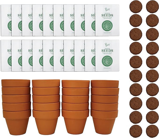 Buzzy Seeds Terracotta Mini Grow Pots | Herb, Plant, Flower Starter Kit for Kids & Adults | Assorted 20-Pack, | Lavender Seeds Guaranteed to Grow | Best Indoor Grow Your Own Plant Gardening Gift