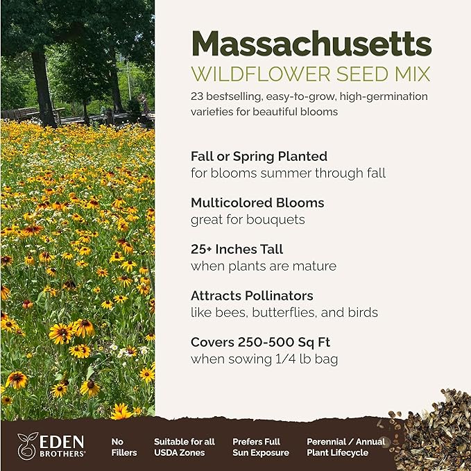 Eden Brothers Massachusetts Wildflower Mixed Seeds for Planting, 1/4 lb, 120,000+ Seeds with Catchfly, Sweet William | Attracts Pollinators, Plant in Spring or Fall, Zones