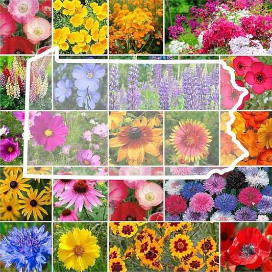 Eden Brothers Pennsylvania Wildflower Mixed Seeds for Planting, 1 lb, 480,000+ Seeds with Coreopsis, Lupine | Attracts Pollinators, Plant in Spring or Fall, Zones