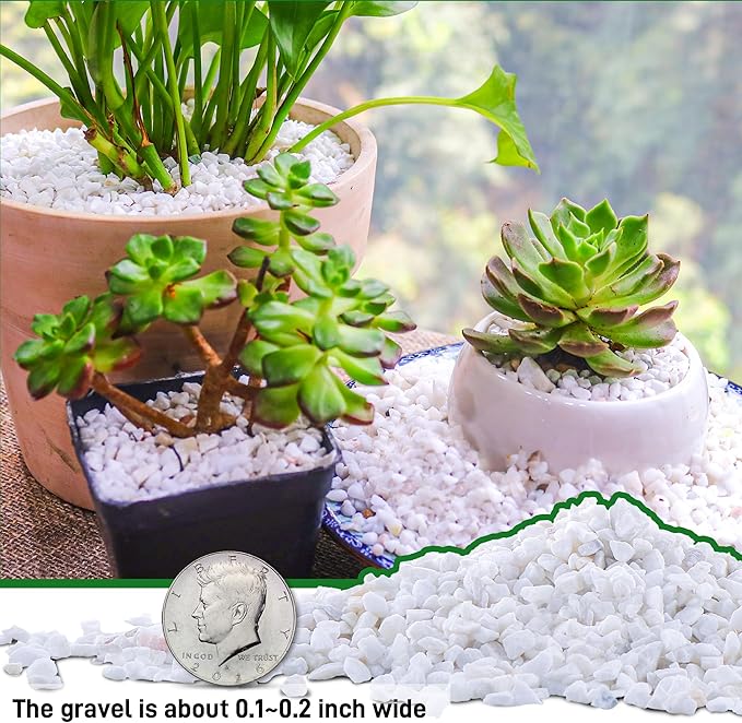 45LB 1/4in White Gravel for Succulent,Cactus Bonsai,DIY Terrarium, Fairy Gardening, Top Dressing,Aquarium