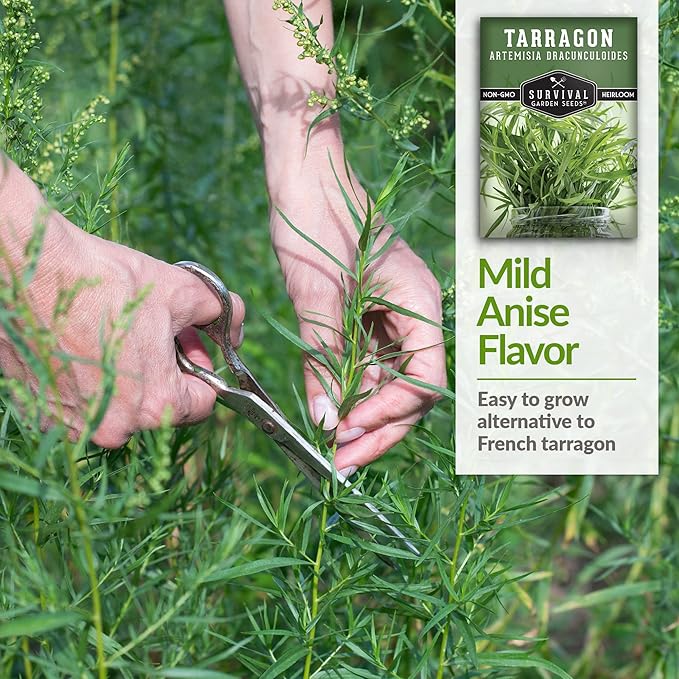 Survival Garden Seeds - Russian Tarragon Seed for Planting - Packet with Instructions to Plant and Grow Big Flowering Herbs in Your Home Vegetable Garden - Non-GMO Heirloom Variety