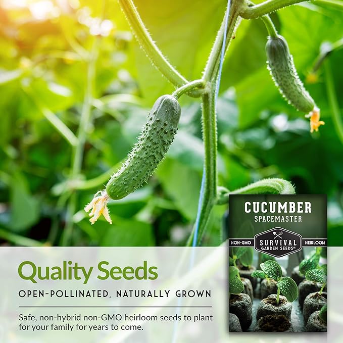 3 Packs Spacemaster Cucumber Seed for Planting - Packet with Instructions to Grow Container Friendly Cucumbers in Your Home Vegetable Garden - Non-GMO Heirloom Variety - Survival Garden Seeds
