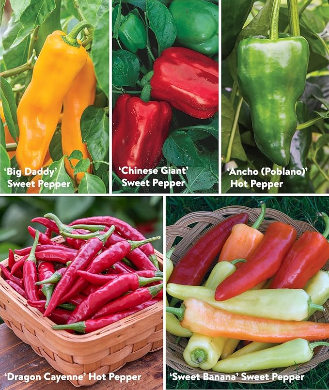 Burpee Best Collection | 10 Packets of Non-GMO Fresh Mix of Hot Pepper & Sweet Varieties | Jalapeno, Bell Pepper Seeds & More, Seeds for Planting