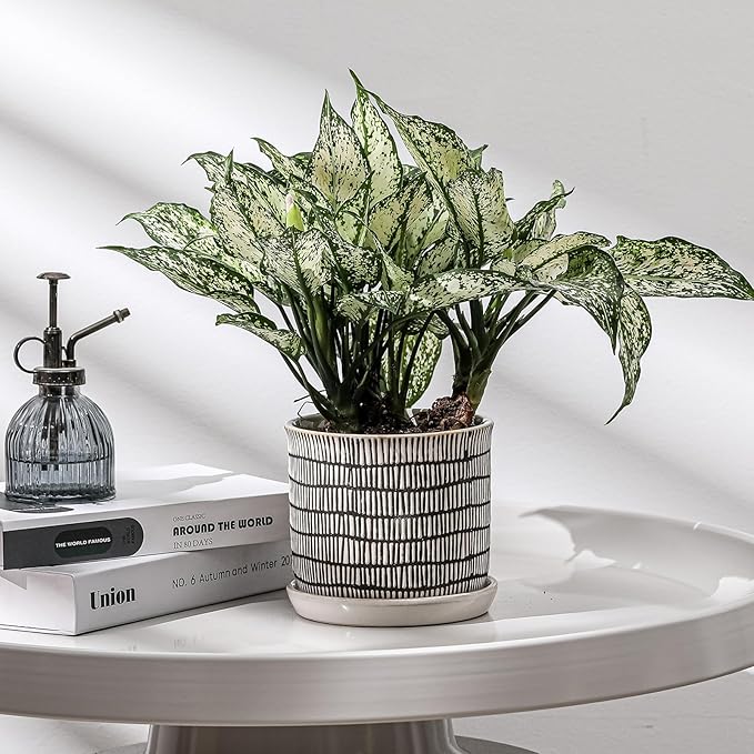 6 Inch Plant Pot: Ceramic Planter with Drainage Hole & Saucer for Indoor Outdoor Plants - Flowerpot with Bonded Tray for Home Office - Mixed Stripe Debossed