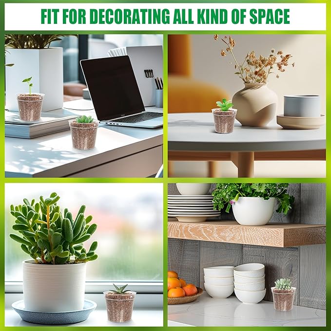 50 Pack 2.5 Inch Clear Nursery Pots for Plants, Sturdy Plastic Plant Pot for Planting Vegetables Flowers Seedlings, Transparent Seed Starter Pots with Drainage Holes(50P-2.5" Clear)