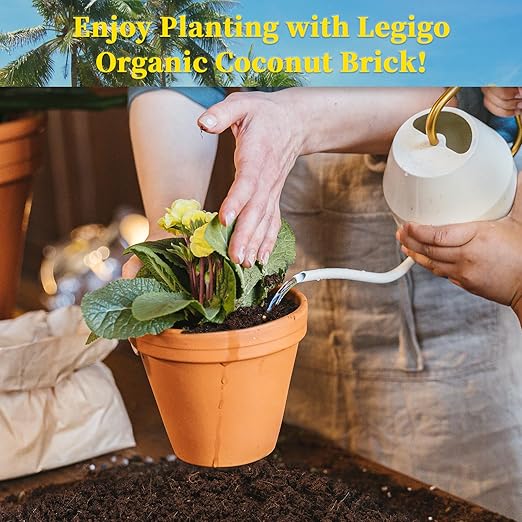 Eco-Friendly Coco Coir Mat & 10lbs Soil Conditioner for Plants, Succulents, Violets - Supports Strong Roots & Healthy Growth