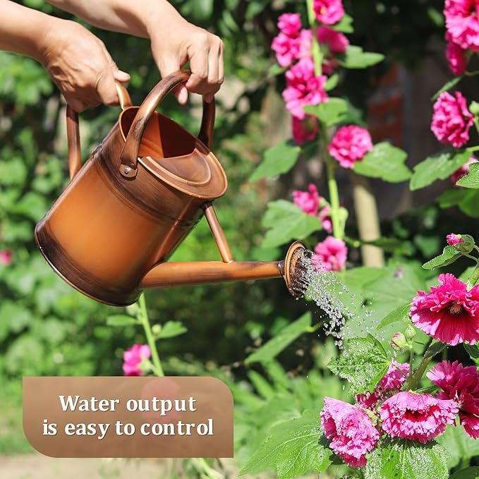 Watering Can for Outdoor Plants and Indoor Plants,1 Gallon Metal Watering Can for Garden Flower,Galvanized Steel Metal Water Can Watering Pot with Sprinkler Head