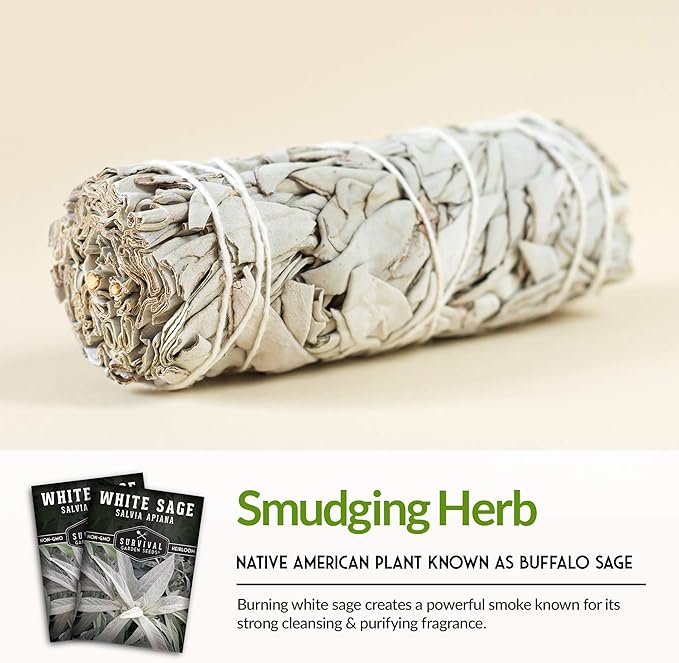 Survival Garden Seeds - 2 Packs White Sage Seed for Planting - Grow Sustainable Smudging Herbs - Packet with Instructions to Plant & Grow in Your Home Garden - Non-GMO Heirloom Variety