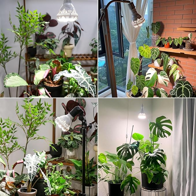 SANSI Dimmable Grow Light Bulb Full Spectrum, High PPFD 30W Grow Bulb (450 Watt Equiv) with Remote, Auto On Off Timing 4 8 12 Hrs, Energy Saving Plant Light Bulb with E26 Base for Indoor Plants