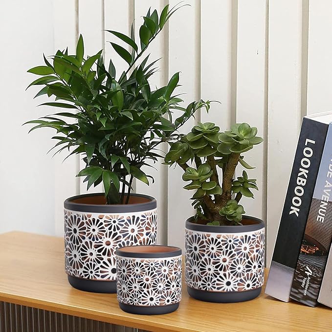 3 Piece Ceramic Plant Pots, 5.7/4.7/3.5/inch Planters with Drainage Hole, Outdoor Indoor Flower Pots Set, Modern Decorative Plant Pots for Lilies, Cacti, Succulents, Snakes, Bamboo(Grey)