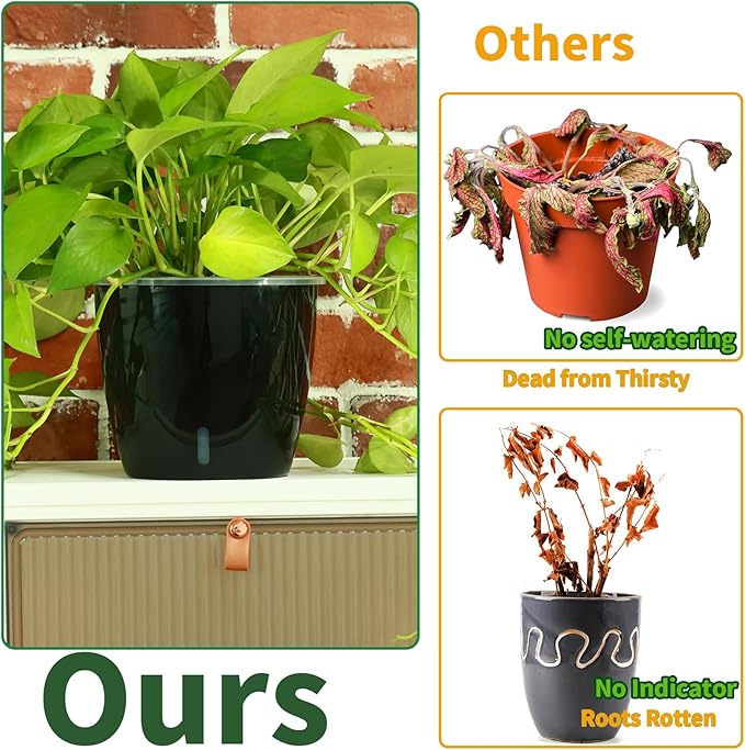 Planterhoma 5 Inch Self Watering Pots for Indoor Plants, 6 Packs African Violet Pots with Water Indicator and Black Wick Pots, Self Watering Planters for Devil's Ivy, Indoor Plant Pots, Black