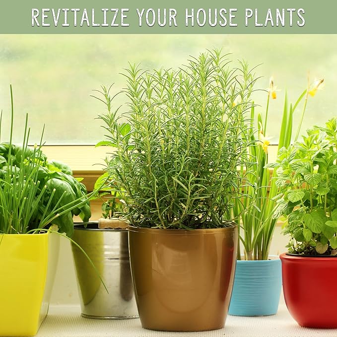 Horticultural Perlite Soil Additive (12 Quarts); for Enhanced Potting Mix Drainage and Growth