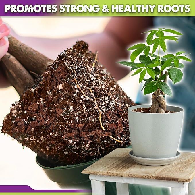DUSPRO Recycle Money Tree Soil, Premium Coco Coir Perlite Mix and Pine Bark for Money Tree Soil, Ideal Money Tree Soil for Healthy Growth and Nourishment (2 Quarts)