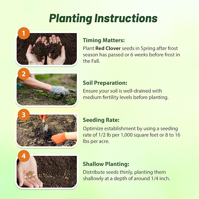 Outsidepride Perennial Red Clover Seeds - 40 lbs. Self-Seeding, Nitrocoated, Inoculated Clover Seeds for Lawn, Yard, Forage, Pasture, Hay, Nitrogen Fixation, Soil Improvement & Crop Rotation Programs