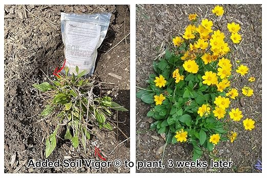 Commercial Grade Super Absorbent Polymer Potassium Based Water Crystal (10 Pound)