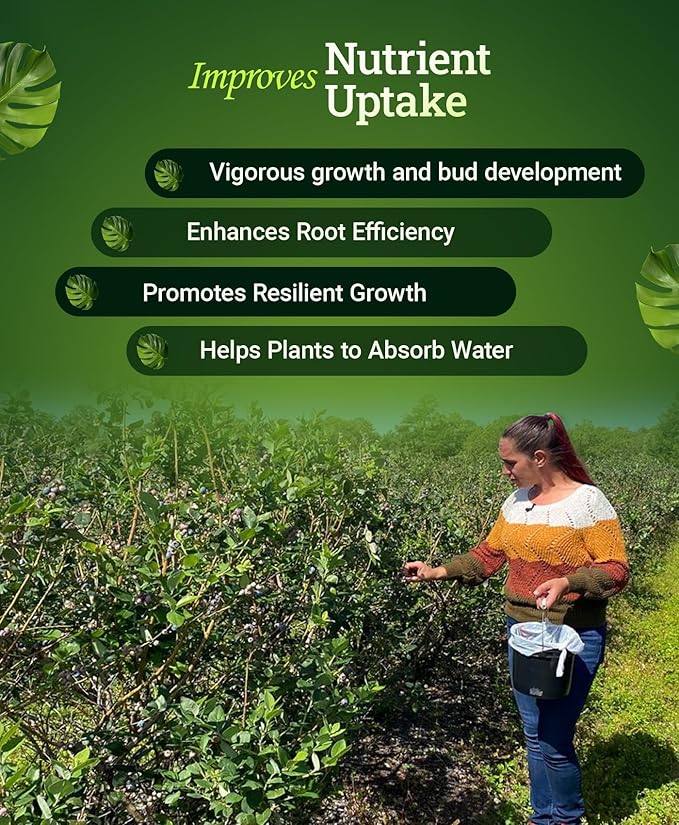 FoxFarm Happy Frog Acid Loving Plant Fertilizer, Slow-Release Fertilizer for Rhododendrons, Azaleas, Hydrangeas, Blueberries, Strawberries & More NPK 4-5-3 (4 lb)