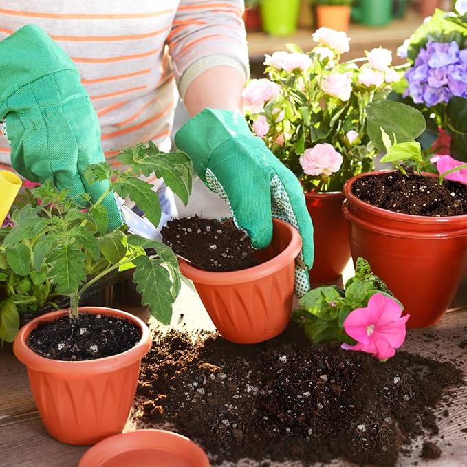 Horticultural Perlite for Plants 1qt, Natural Horticultural Soil Additive Conditioner Mix to Improve Soil Aeration & Dranage for Houseplant