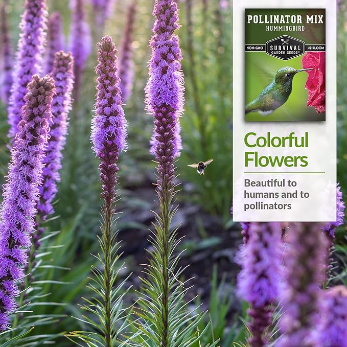 Survival Garden Seeds - Hummingbird Pollinator Mix Wildflower Seed for Planting - 5 Packs with Instructions to Plant & Grow Nectar Flowers in Your Home Vegetable Garden - Non-GMO Heirloom Varieties