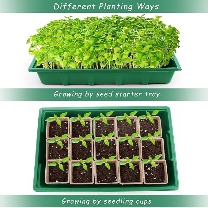 4 Pack Seed Starter Tray Kit, 120 Square Seed Peat Pots for Seedlings with Plants Labels, Planting Tools, Plastic Growing Germination Trays with Lids for Indoor Outdoor Gardening, Green