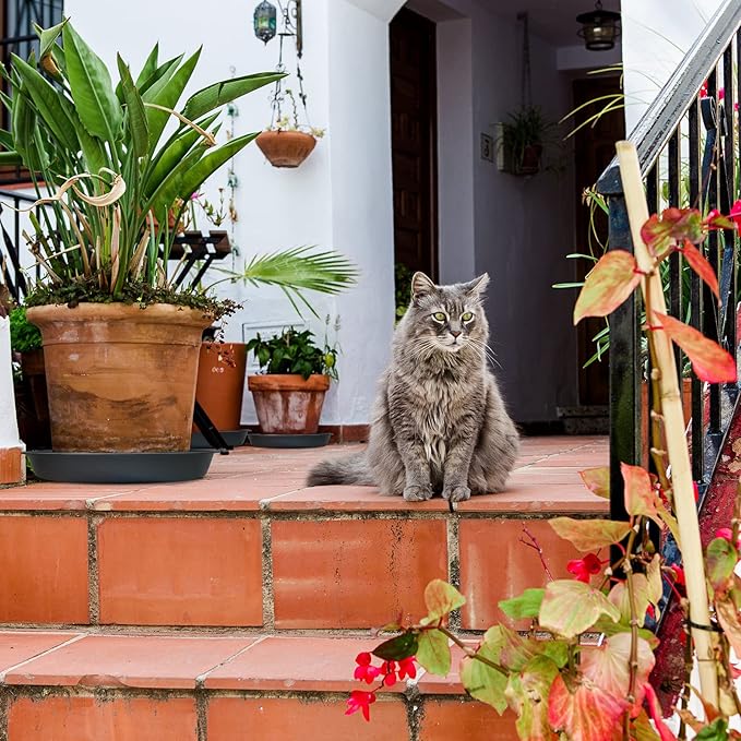 6 Pack Plant Saucer 12 14 16 18 20 22 Inch Plastic Plant Tray, Sturdy and Durable Flower Pot Container Accessories Plant Pot Saucers for Indoor and Outdoor (18 Inch, Gray)