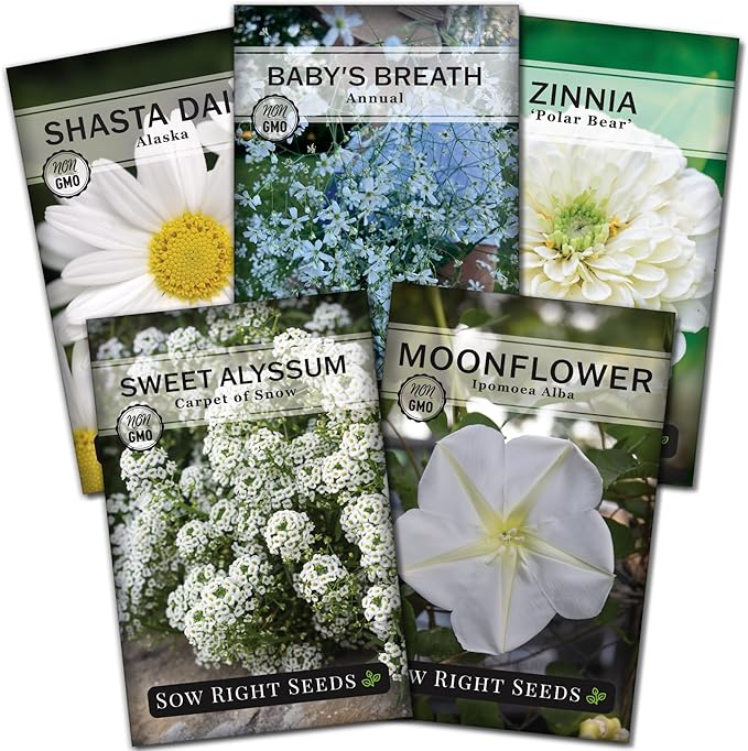 Sow Right Seeds - Moon Garden White Flower Seeds for Planting - Shasta Daisy, Alyssum, Polar Bear Zinnia, Baby’s Breath & Moonflower - Non-GMO Variety to Plant a Stunning Evening Moon Flower Garden