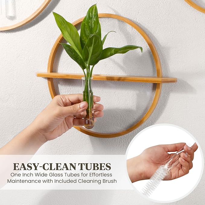 Propagation Stations - Set of 3 Bamboo Wall Planters for Indoor Plants | Propagation Wall Hanging with 5 Glass Plant Propagation Tubes | Plant Propagation Station Wall Vase