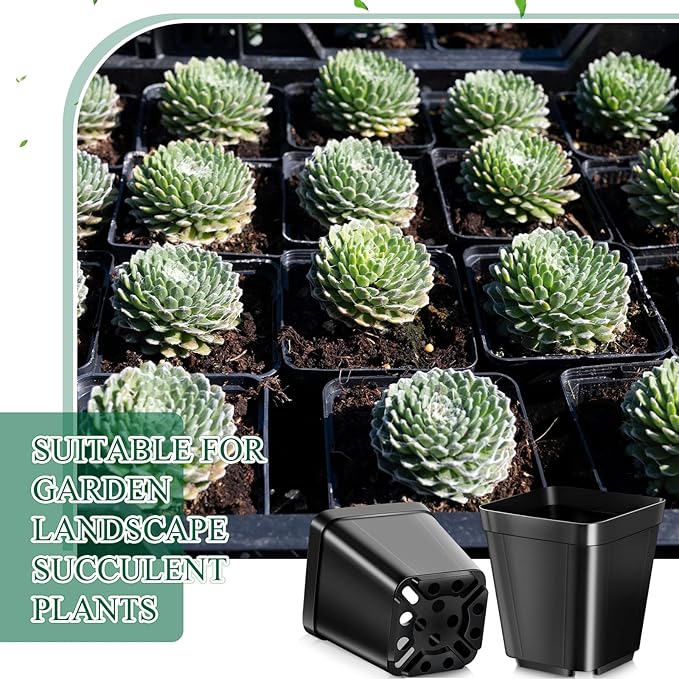 500 Pack 2 Inch Plastic Seedling Pots Small Square Nursery Planters Flower Planting Pots Plastic Plant Planters for Outdoor Indoor Flower, Succulent, Starting Seedlings, Black