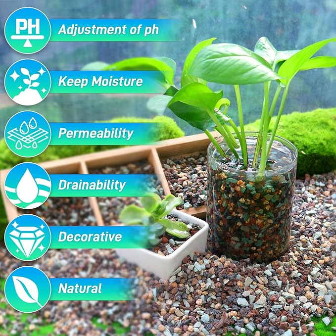 2.4Lb Horticultural Lava Rock-1/5inch Lava Rocks for Plants,Succulent Soil Amendment,Decorative Cactus Soil Potting Mix,Volcanic Rock for Aquarium Fairy Gardening Top Dressing Plant Drainage