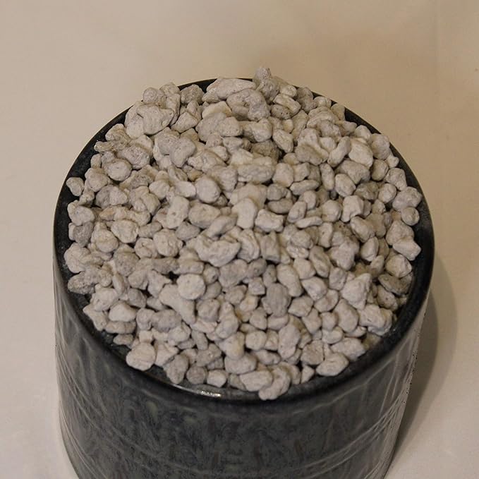 Horticultural Pumice - 14 Dry quarts - Cactus Succulent Soil Amendment