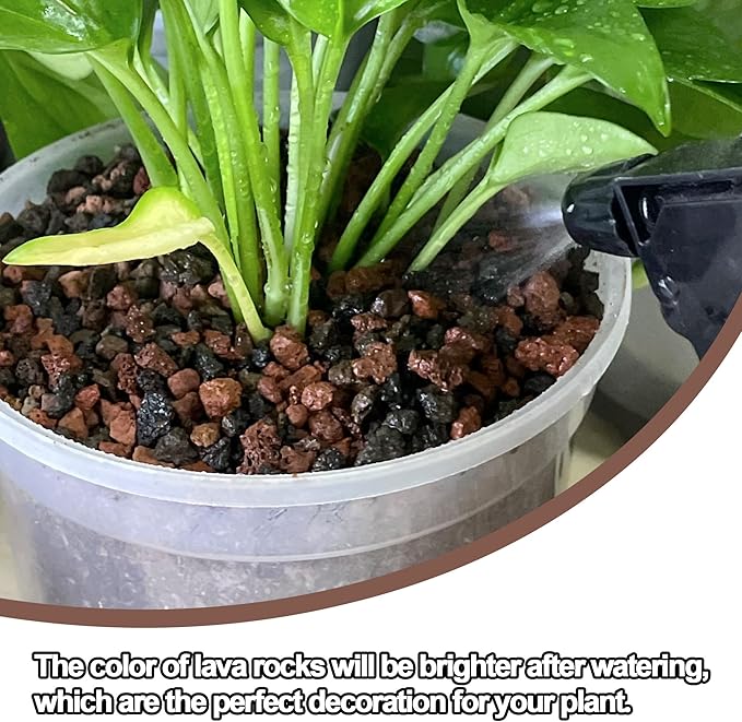 3lb Mix Lava Rocks for Plants-Horticultural Volcanic Rock Gravel for Landscaping Plants Drainage, Succulents, Bonsai, Vase Fillers, Terrarium Plants, Top Dressing