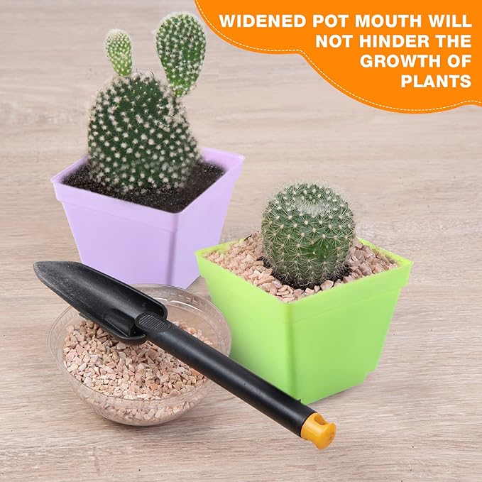 100 Pieces 4 Inch Flower Pots Square Plants Nursery Pot Plastic Plant Seedling Pots Nursery Transplanting Planter Container with Saucer for Indoor Herbs Succulents Balcony Garden Office (Colorful)