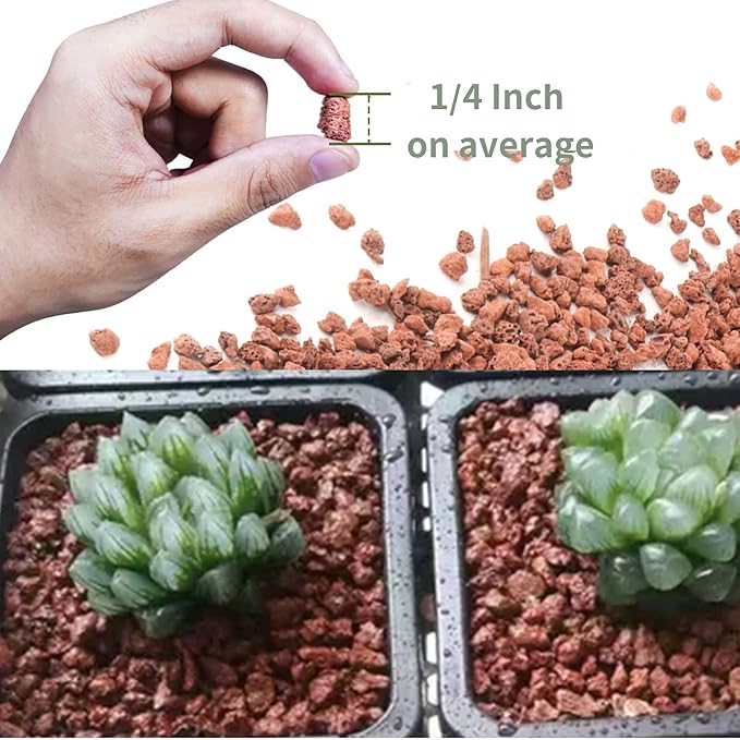 7LB Red Lava Rocks for Plants, Volcanic Rock Horticultural Lava Rock Soil for Landscaping Plants Drainage, Small Lava Rock Gravel for Succulents, Bonsai, Vase Fillers, Terrarium Plants, Top Dressing