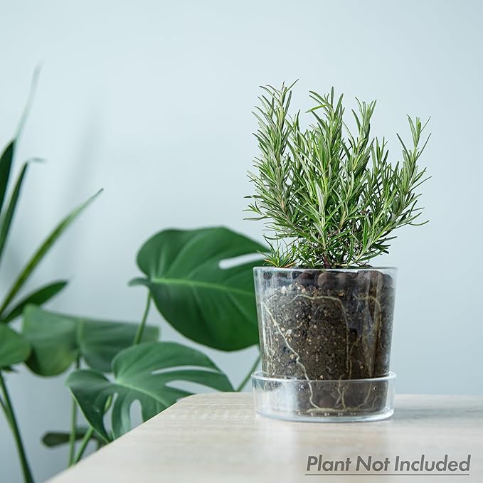 Phoenix Vine 4.5 Inch Clear Acrylic Planter Pot with Tray, Orchid Pot with Drainage Holes, Deep Saucer for Bottom Watering, Transparent Containers for Indoor Plants, Herbs, Set of 3, 91-A-E-3