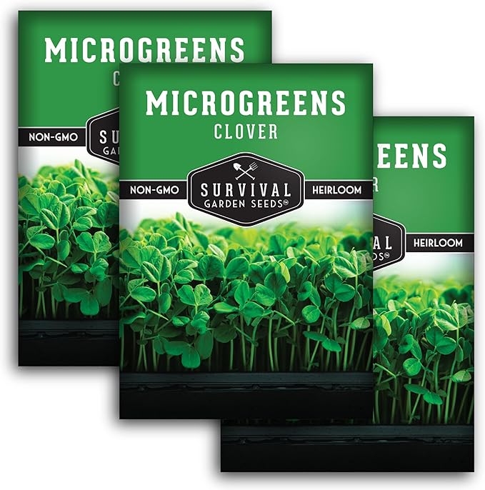 3 Packs Clover Microgreens Seeds for Sprouting and Growing - Sprout Green Leafy Micro Herb Plants Indoors - Grow A Mini Windowsill Garden - Non-GMO Heirloom