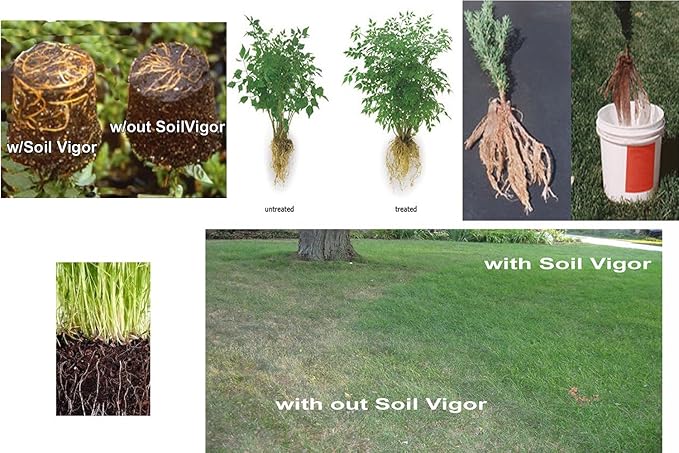 5 Pounds Potassium Water-Absorbing Crystal Polymer for Plants Soil Moist SAP Commercial-Grade