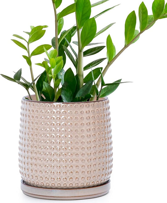 D'vine Dev 6 Inch Ceramic Beaded Stoneware Planter Pot - Flower Pot with Drainage Holes and Saucers for Indoor Succulent Plants or Flowers, Light Brown, 27-C-X-4