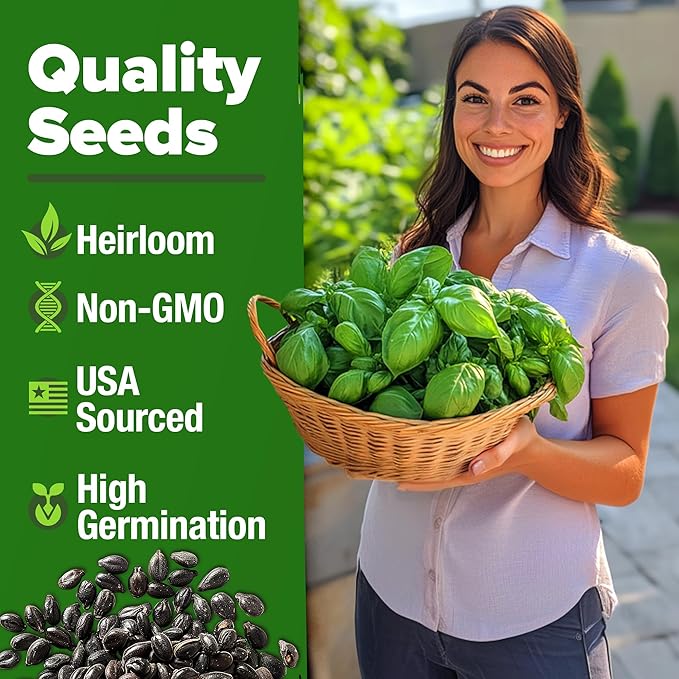 HOME GROWN Genovese Basil Seeds Pack - 1750 High Germination, Non-GMO Heirloom Seeds (Ocimum basilicum) - Perfect Herb Seeds for Planting Indoor & Outdoor Gardening - Grow Basil Plant for Culinary Use