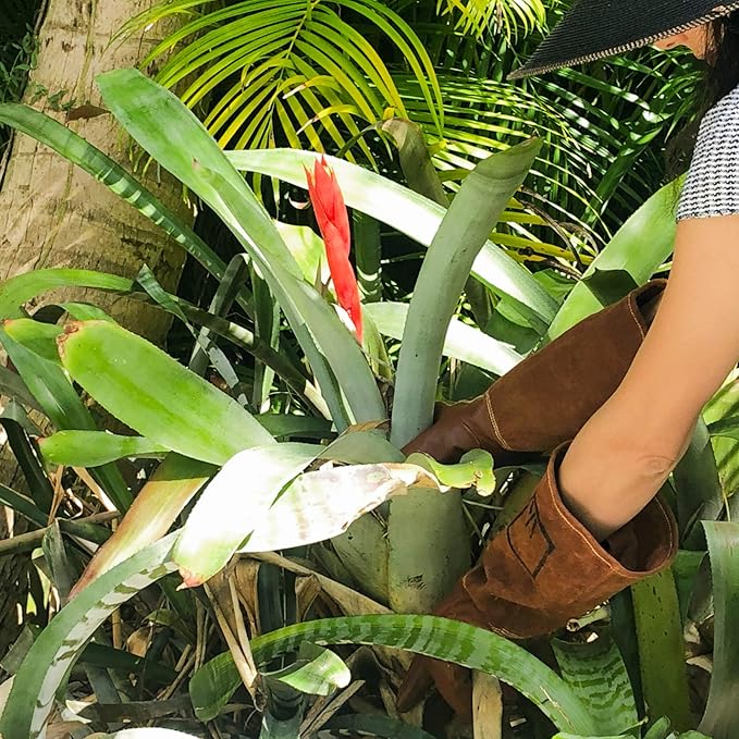 ArtAK Rose Pruning Gloves Leather Rose Gardening Gloves for Men and Women Long Thorn Proof Cowhide Gauntlet Protective Rose Gloves for Rose Bushes Ready to Plant Brown Garden Gloves Large